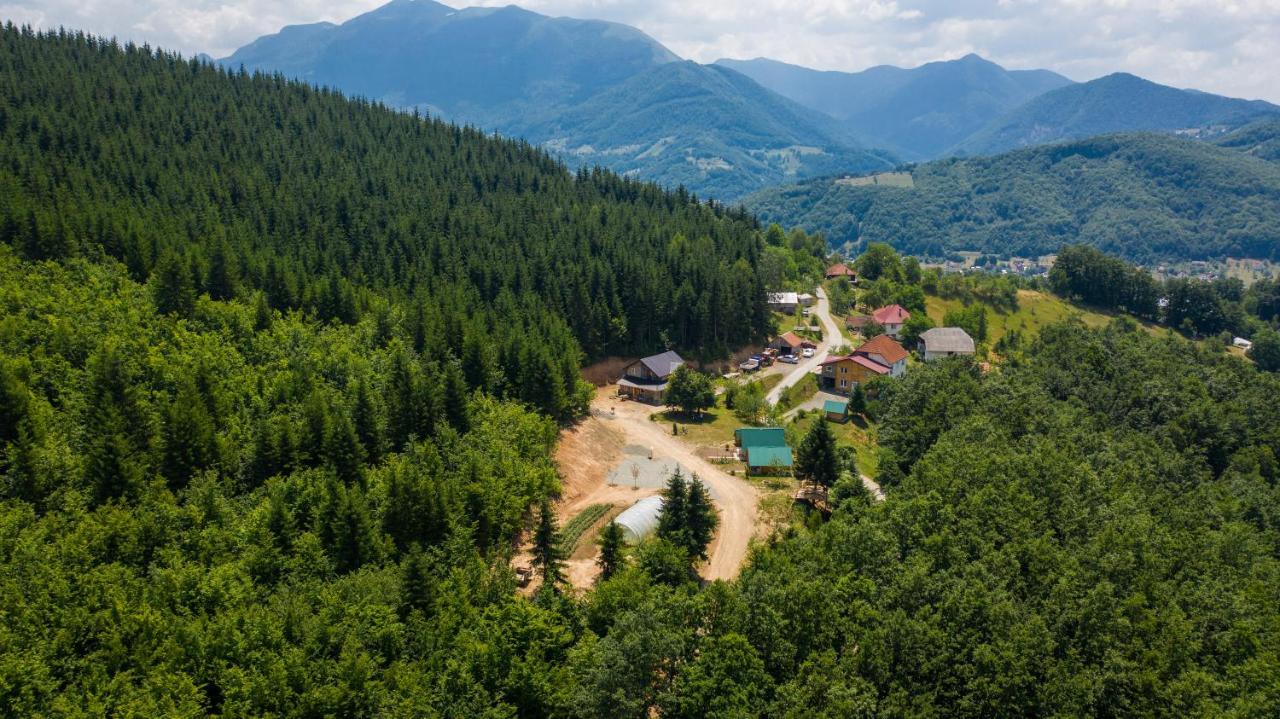 Gazela Bungalov 1 Mojkovac Zewnętrze zdjęcie
