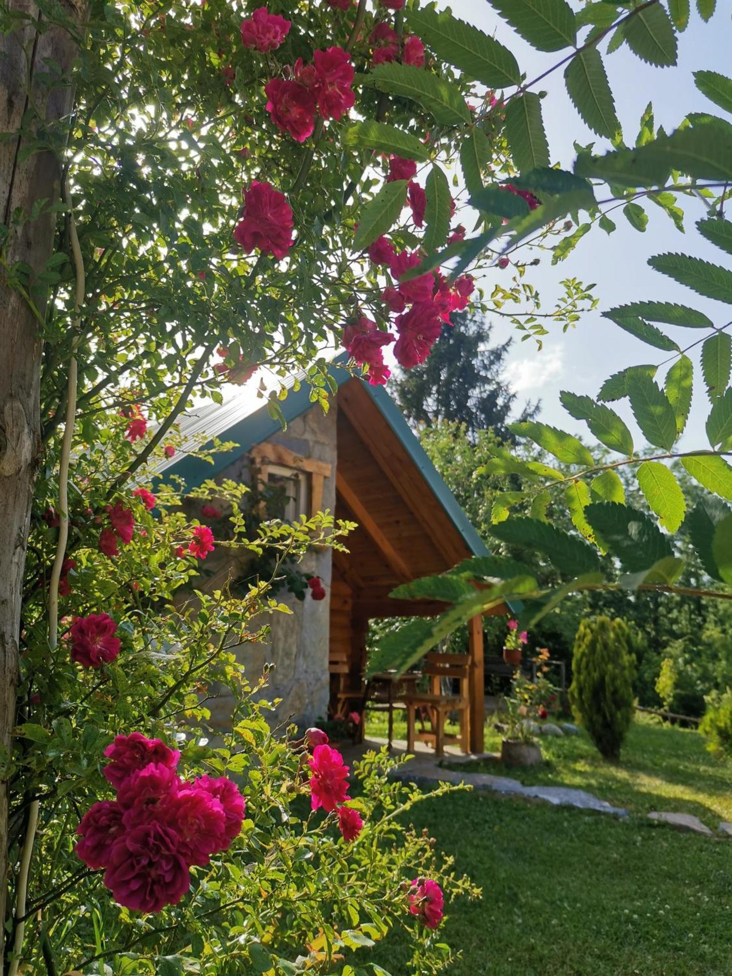 Gazela Bungalov 1 Mojkovac Zewnętrze zdjęcie